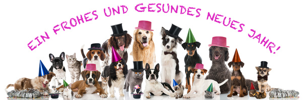 Partytiere