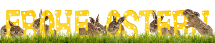 Frohe Ostern